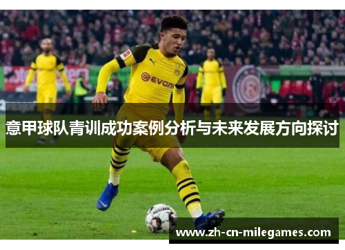 意甲球队青训成功案例分析与未来发展方向探讨