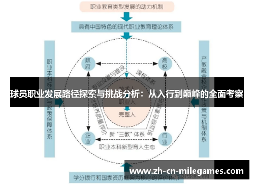 球员职业发展路径探索与挑战分析：从入行到巅峰的全面考察