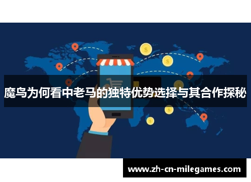 魔鸟为何看中老马的独特优势选择与其合作探秘