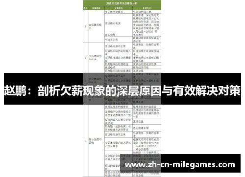 赵鹏：剖析欠薪现象的深层原因与有效解决对策