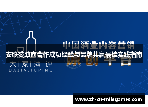 安联赞助商合作成功经验与品牌共赢最佳实践指南