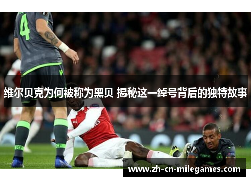 维尔贝克为何被称为黑贝 揭秘这一绰号背后的独特故事